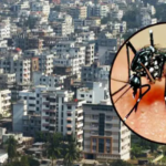 ডেঙ্গু আতঙ্ক