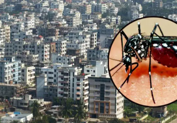 ডেঙ্গু আতঙ্ক