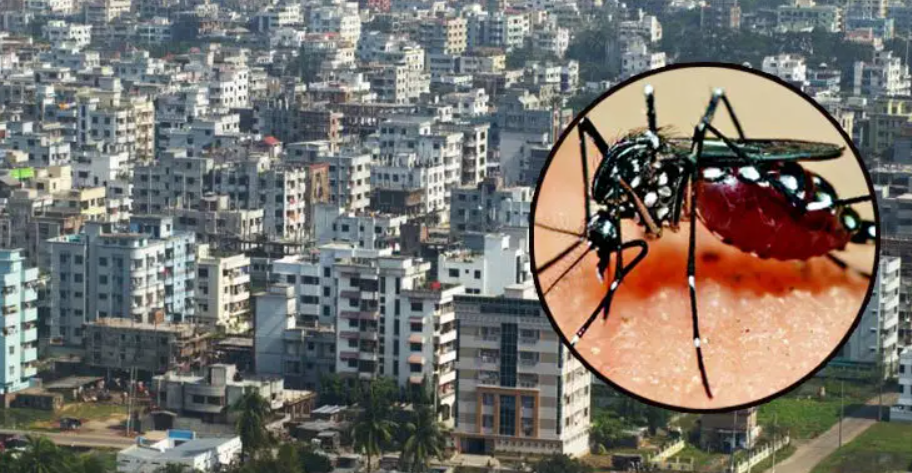 ডেঙ্গু আতঙ্ক