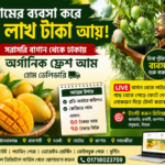 aam business bd