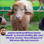 ডোনাল্ড ট্রাম্প বাফেলো